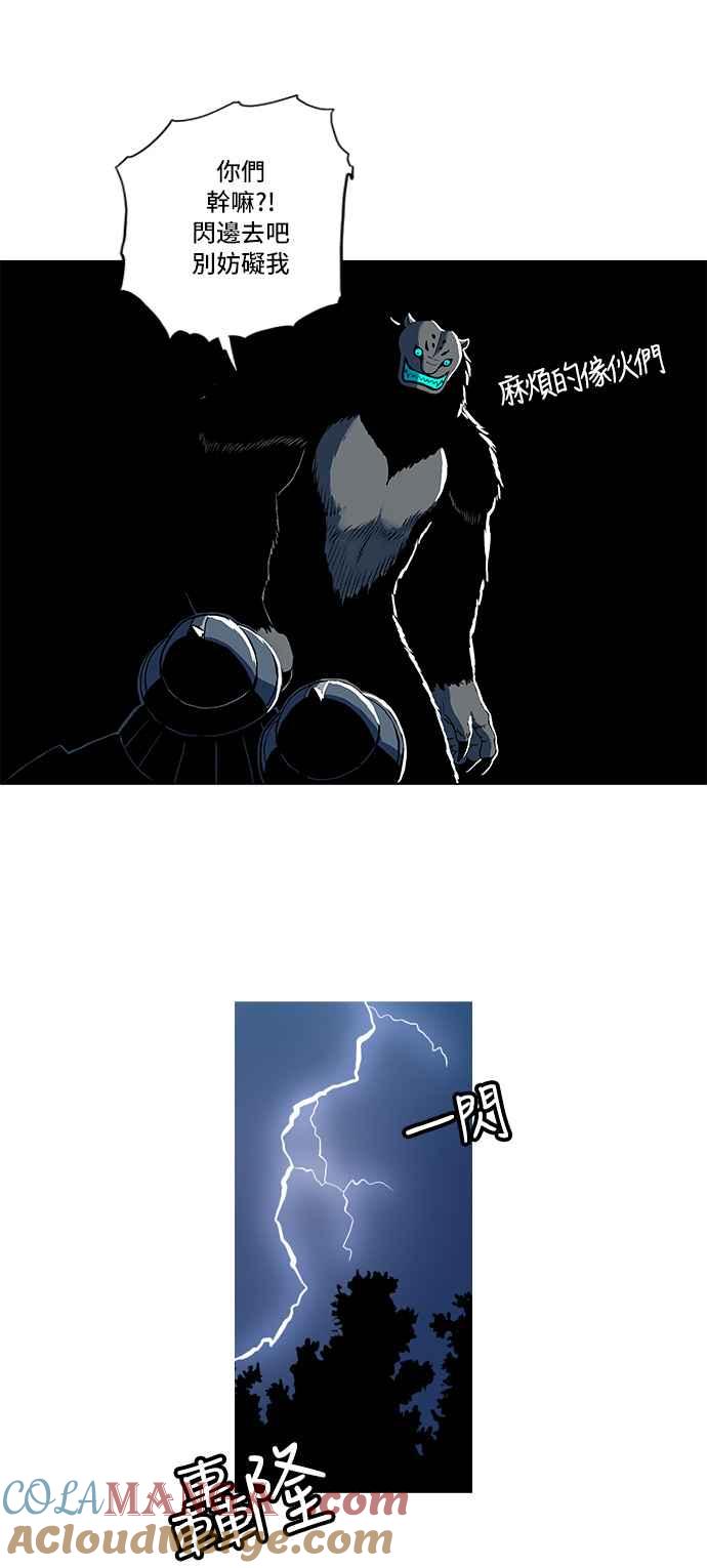 17.jpg