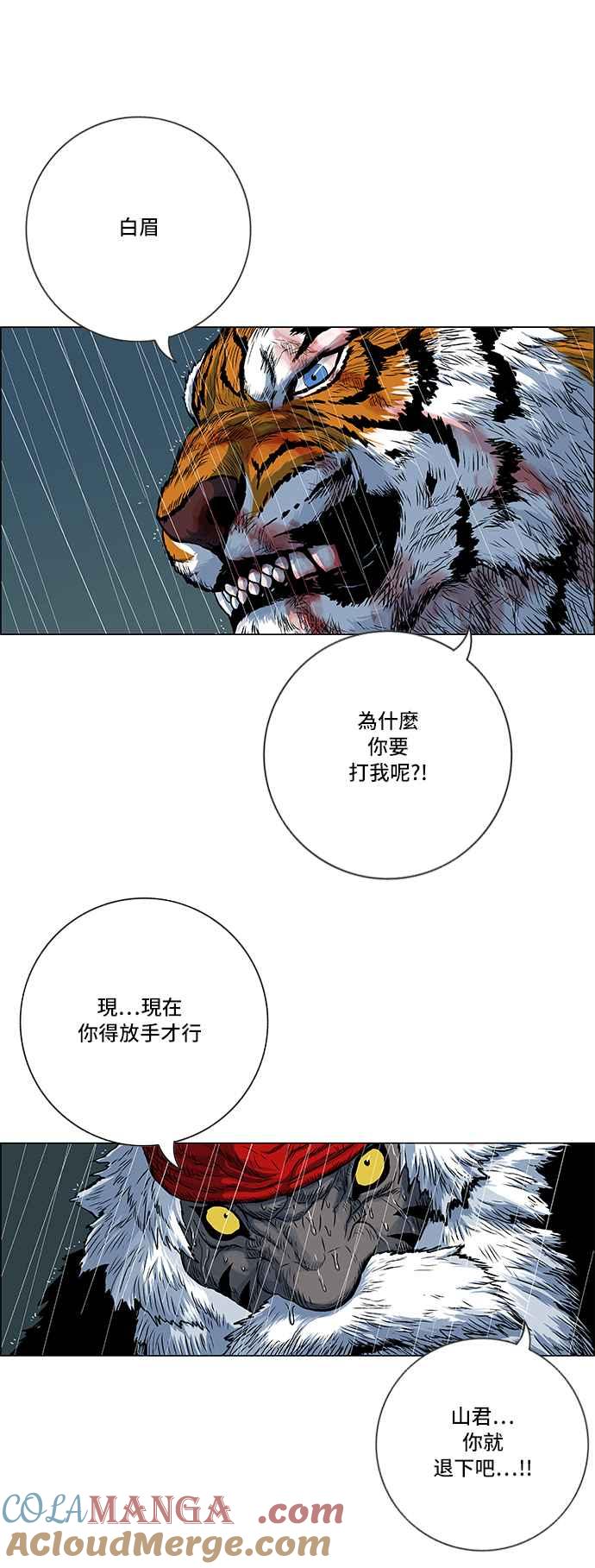 17.jpg