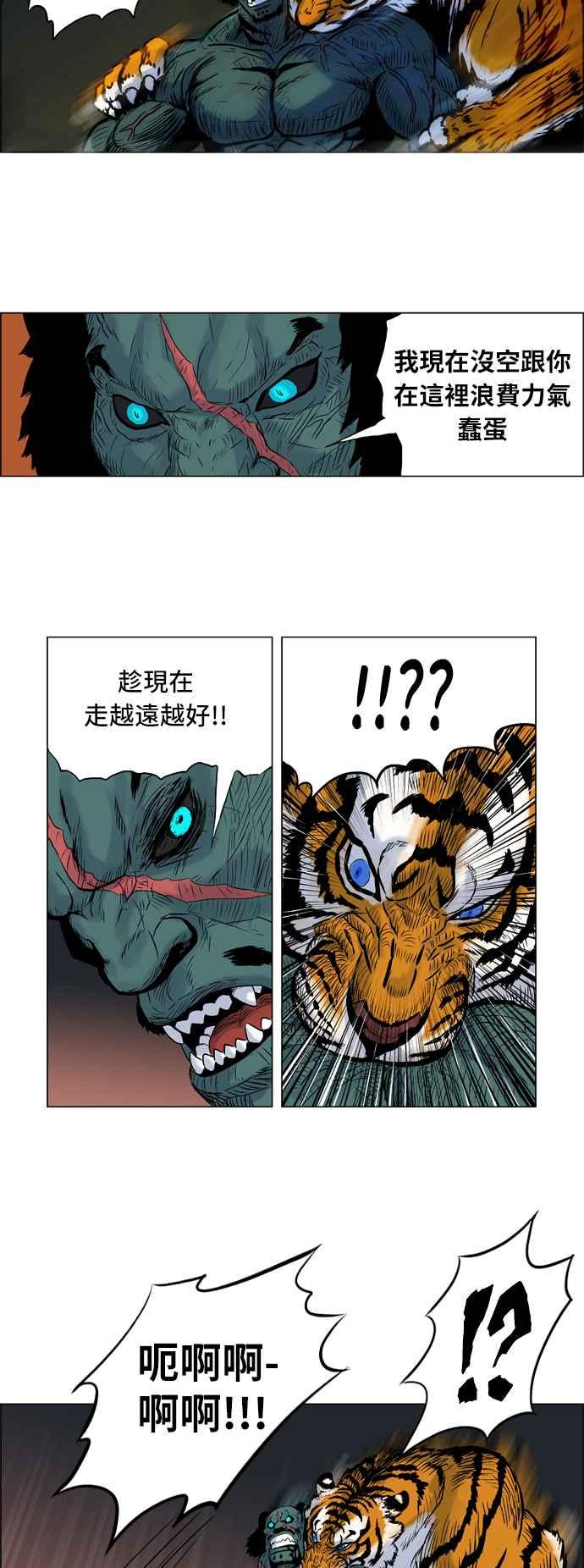 11.jpg