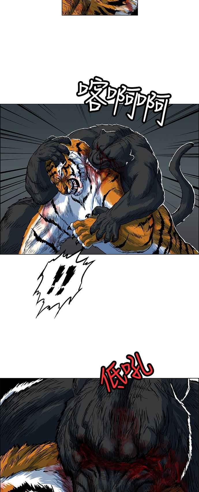 20.jpg