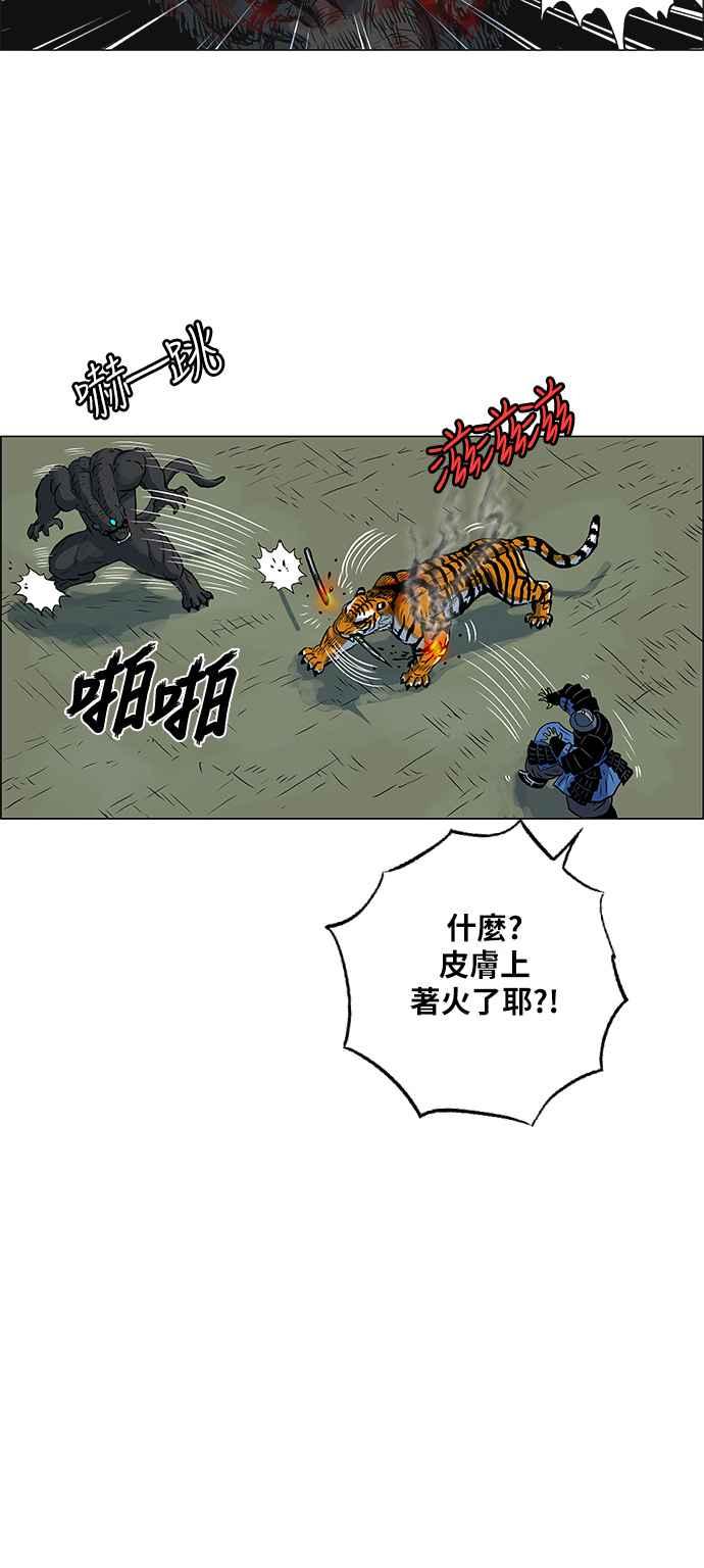 13.jpg