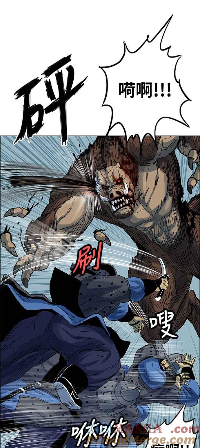 13.jpg