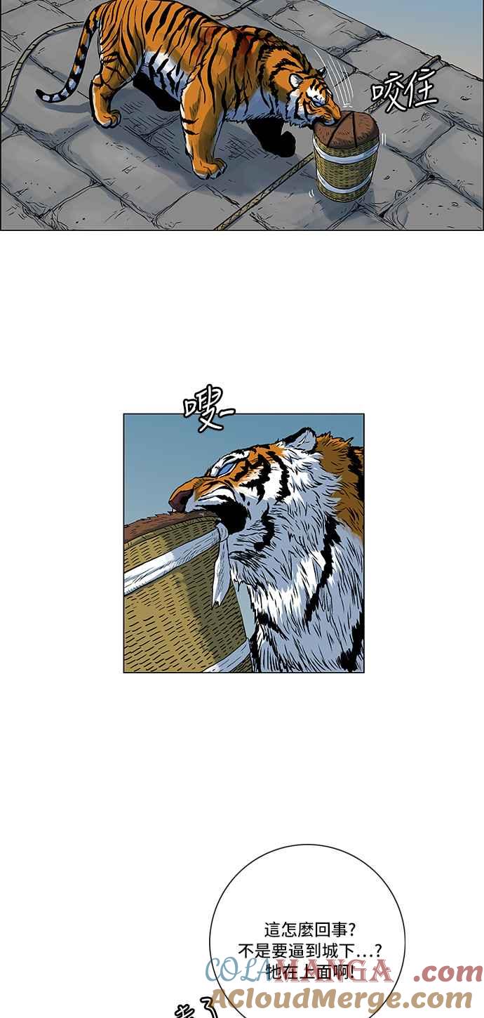 19.jpg