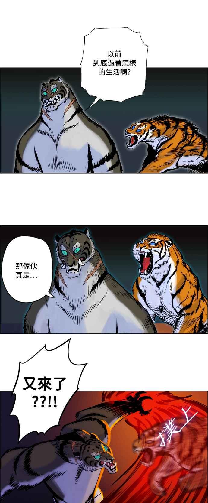 12.jpg