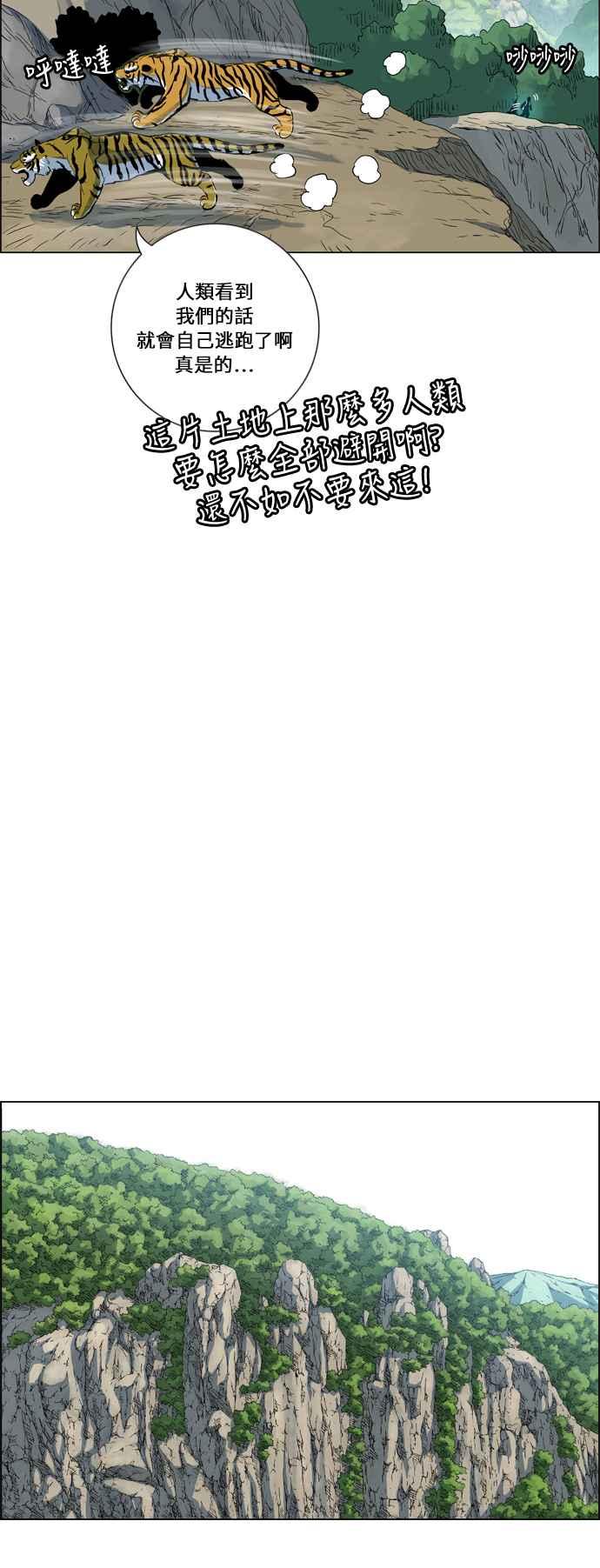 21.jpg