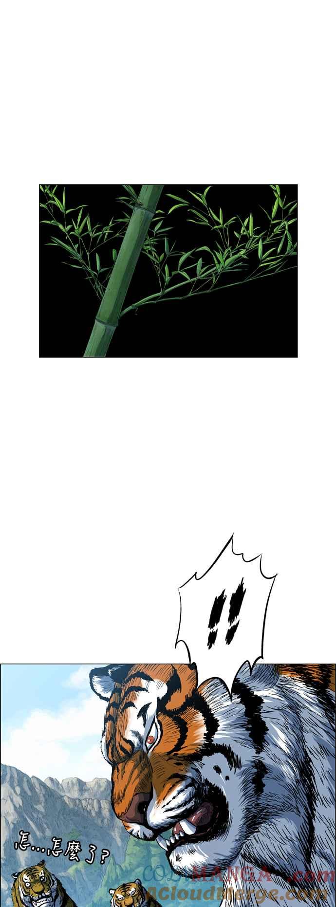 55.jpg