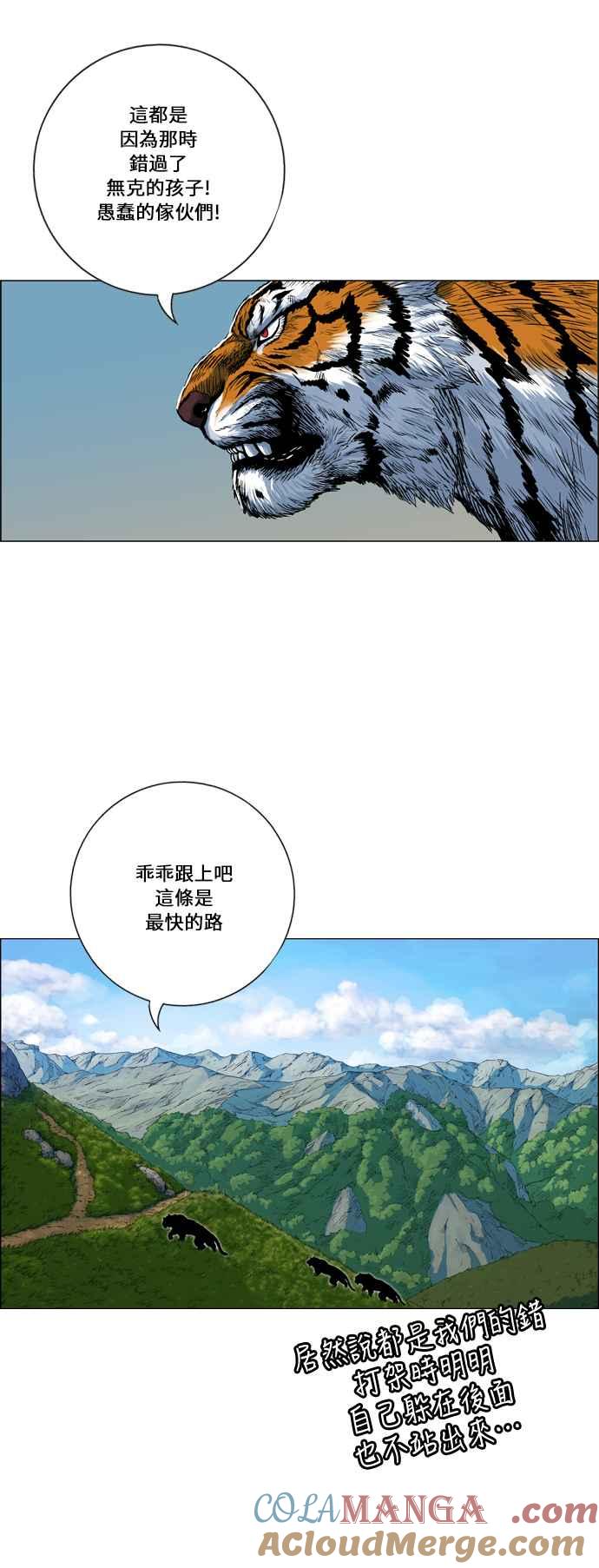 13.jpg