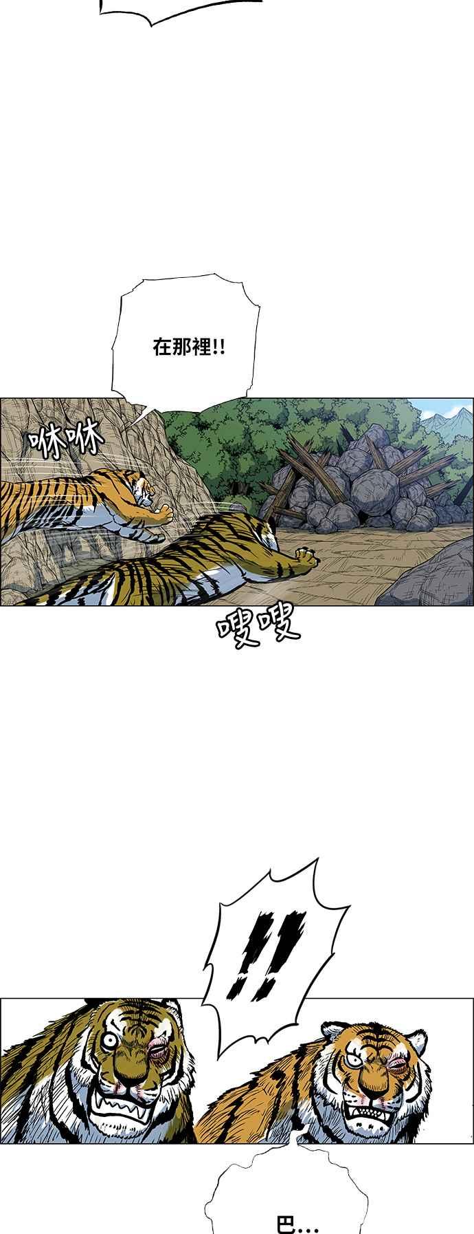 35.jpg