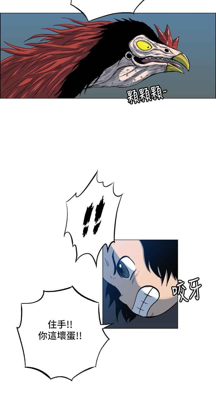 14.jpg