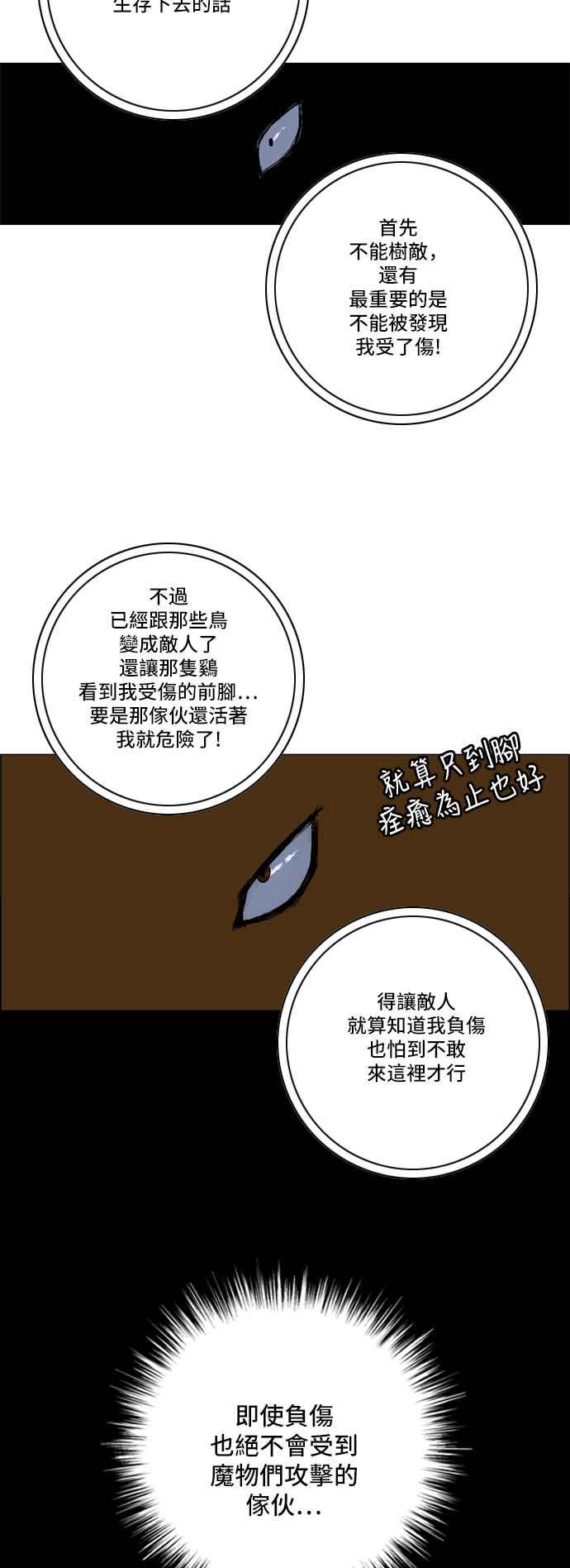 29.jpg