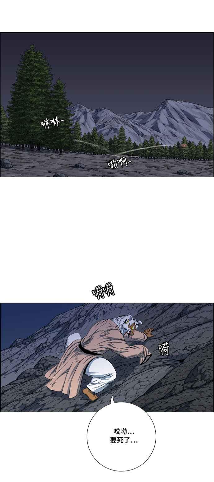 12.jpg