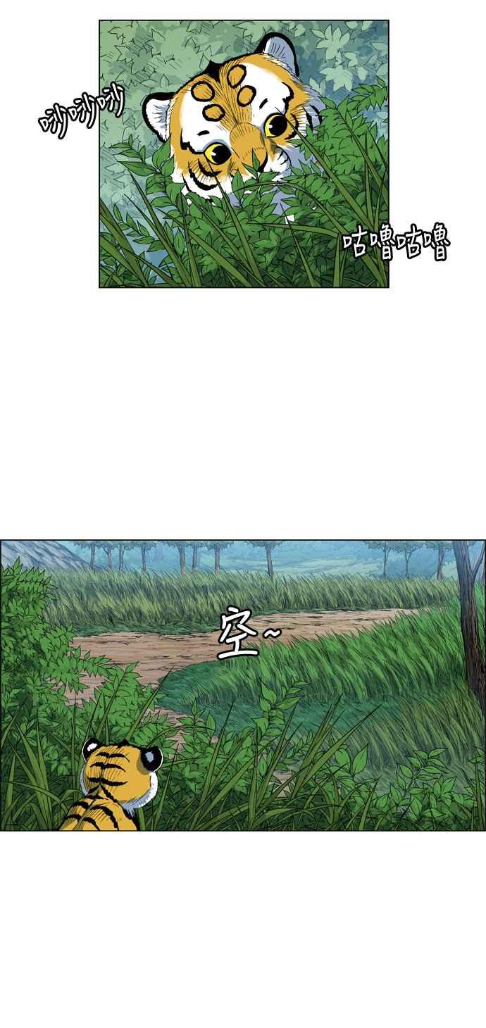 51.jpg