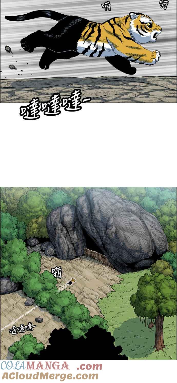 18.jpg