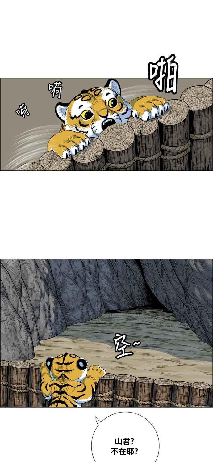 19.jpg