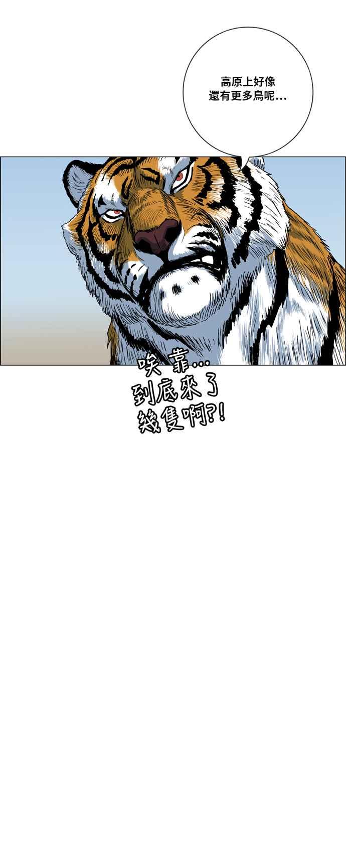 26.jpg