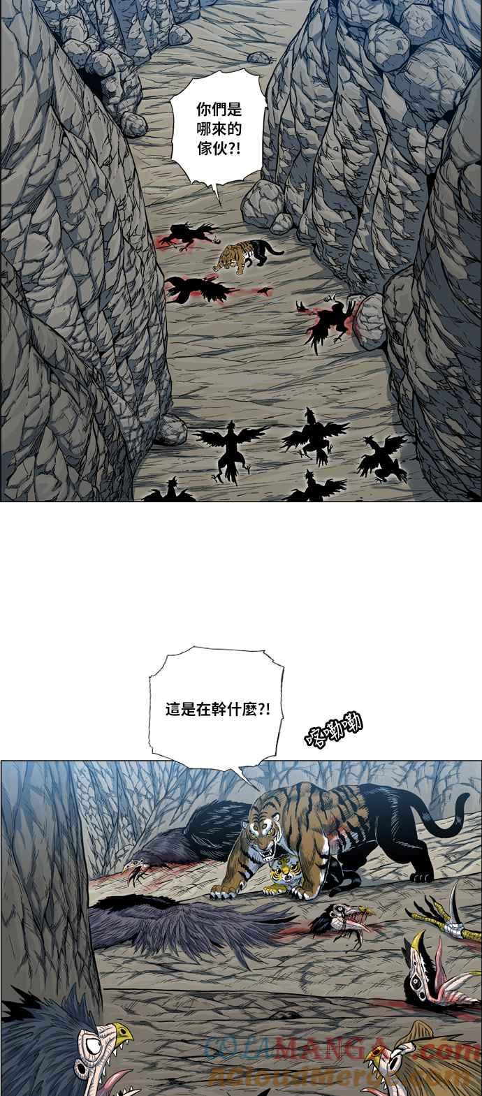 13.jpg