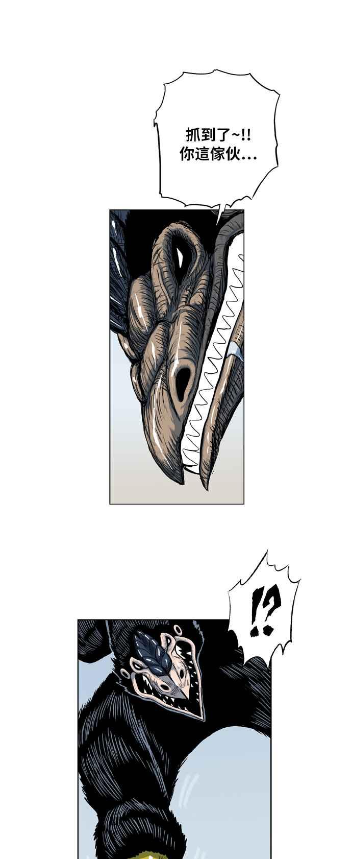41.jpg