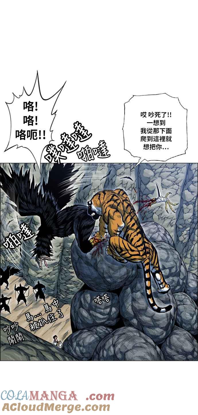 19.jpg