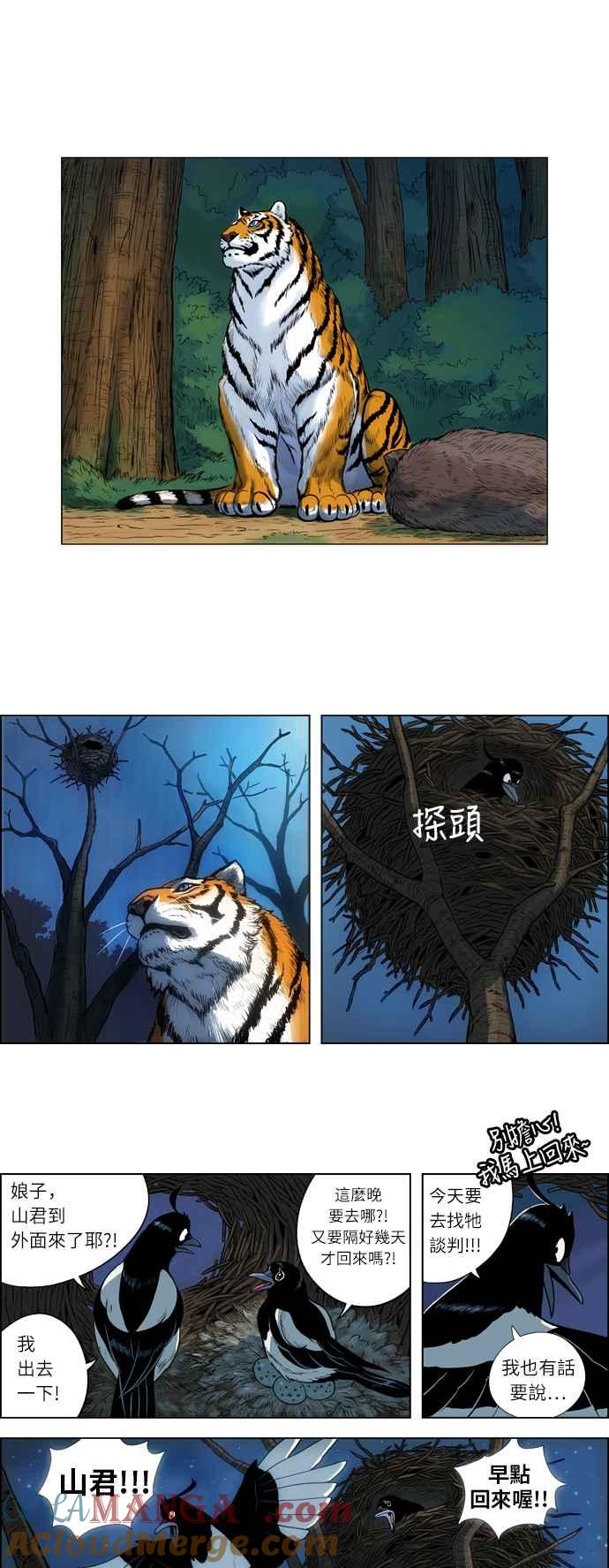 17.jpg