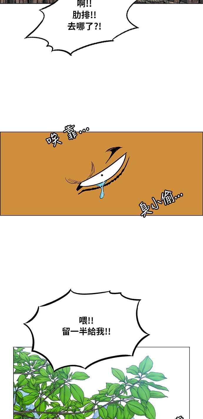 15.jpg