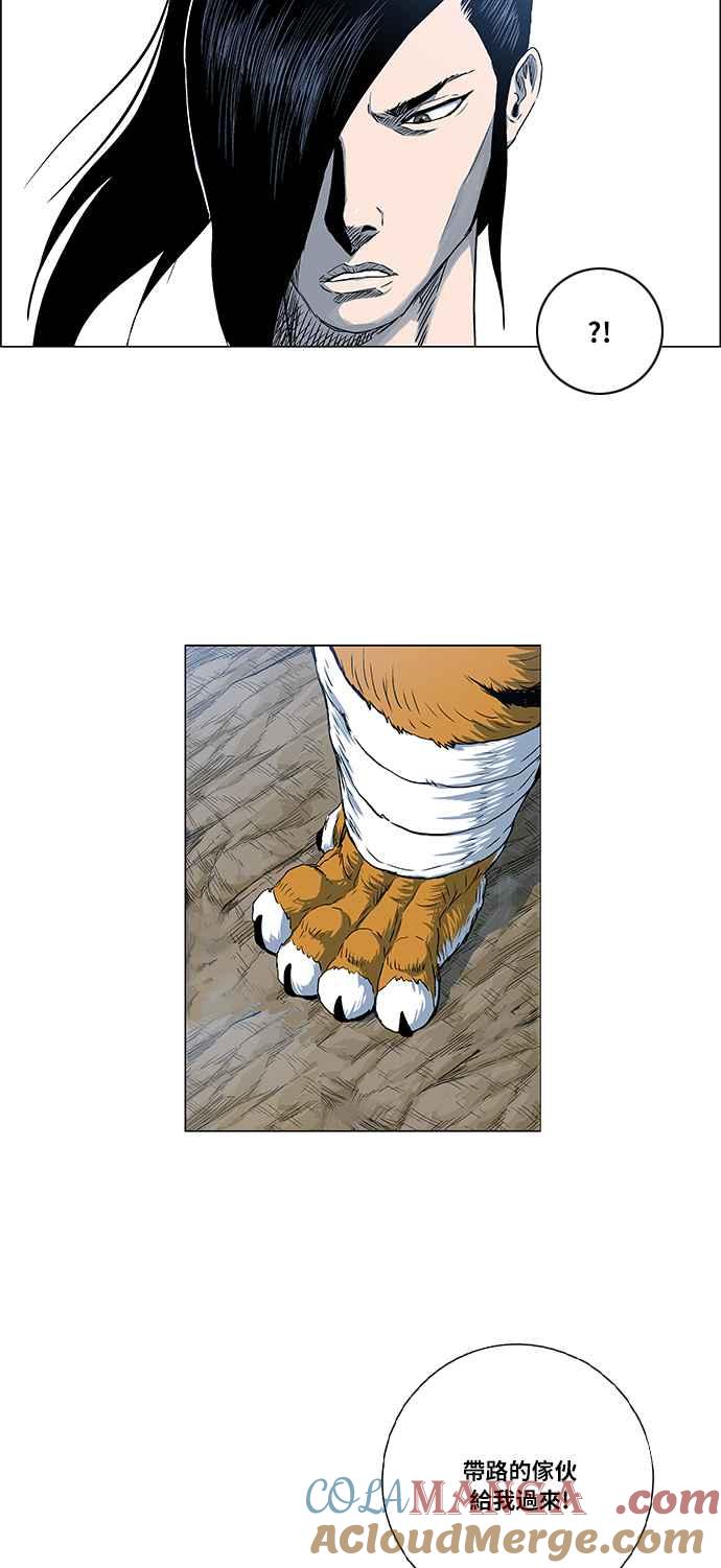 31.jpg