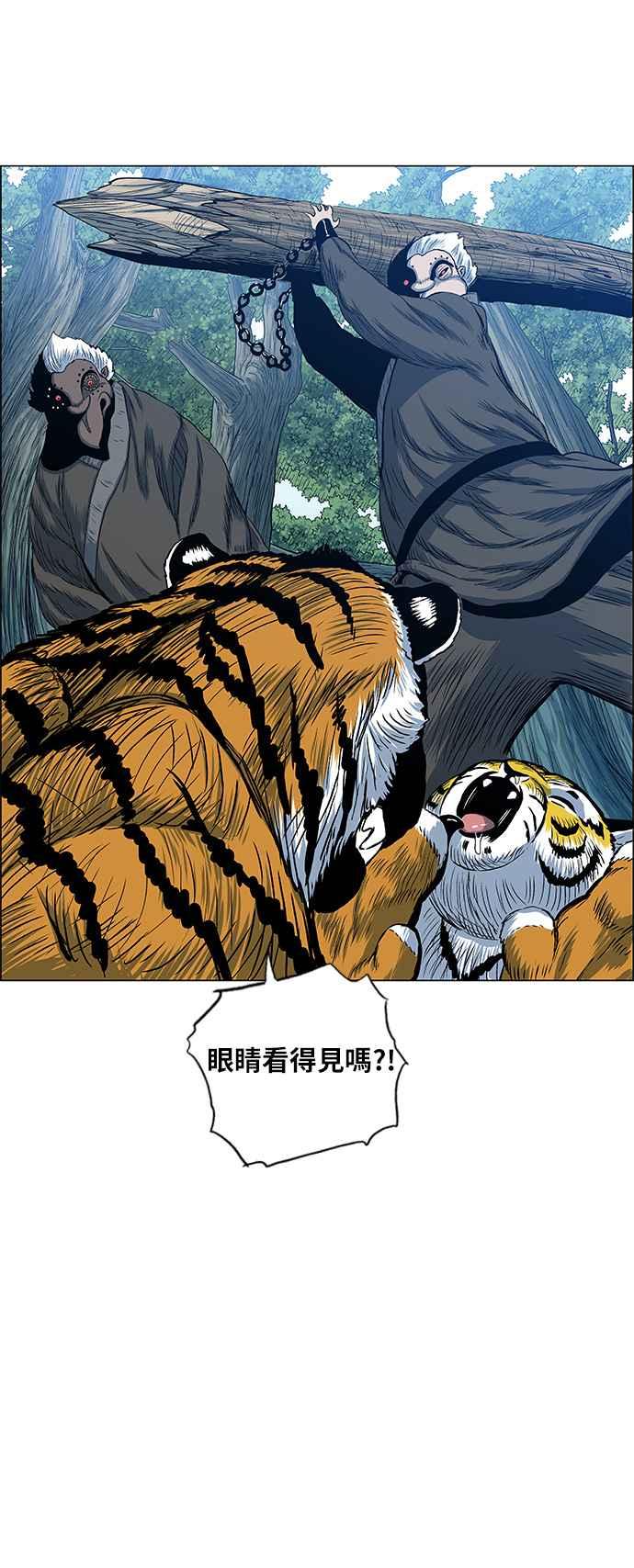 47.jpg