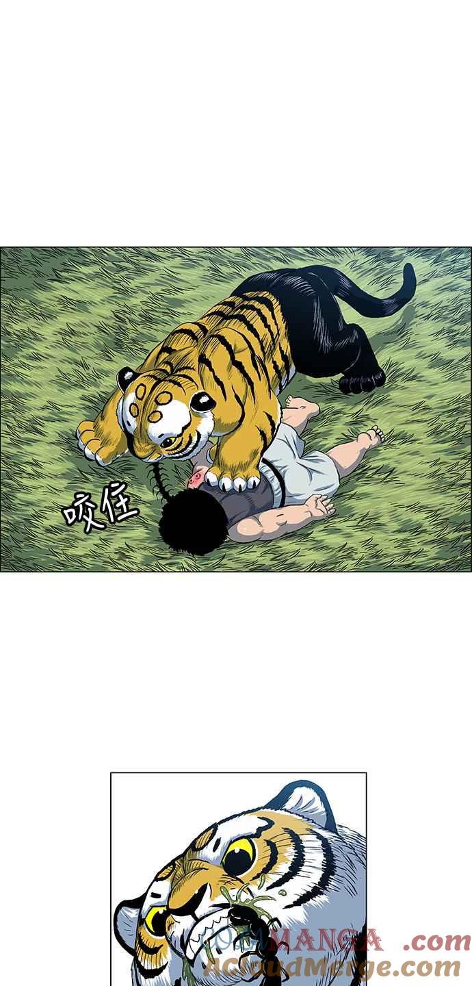 13.jpg