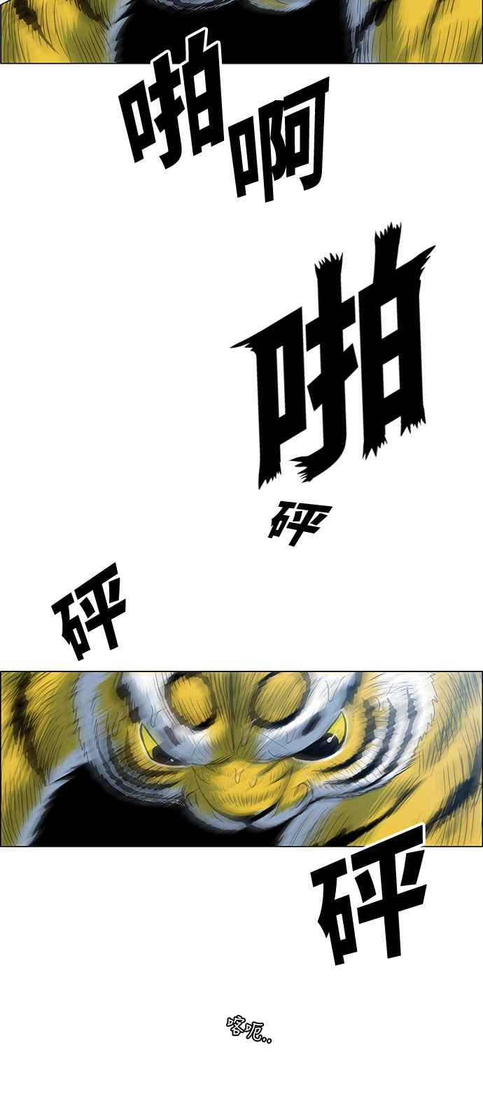 29.jpg