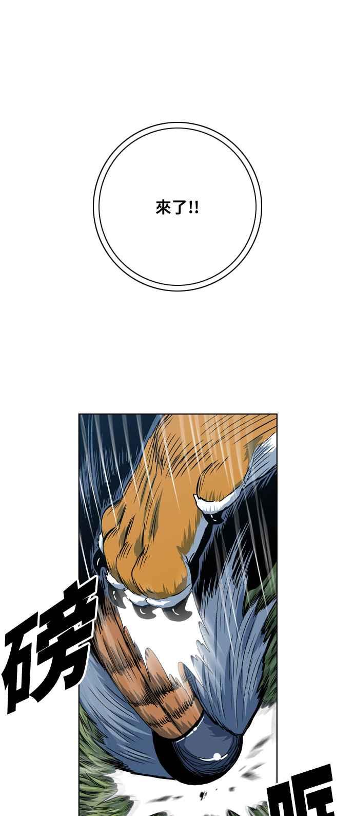 44.jpg