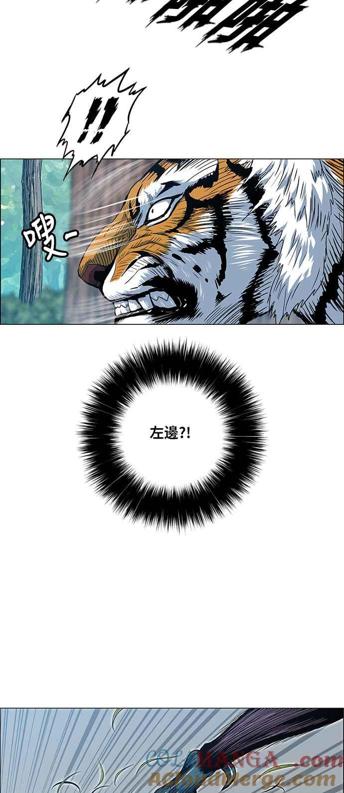 46.jpg
