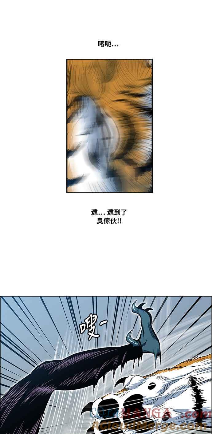 49.jpg