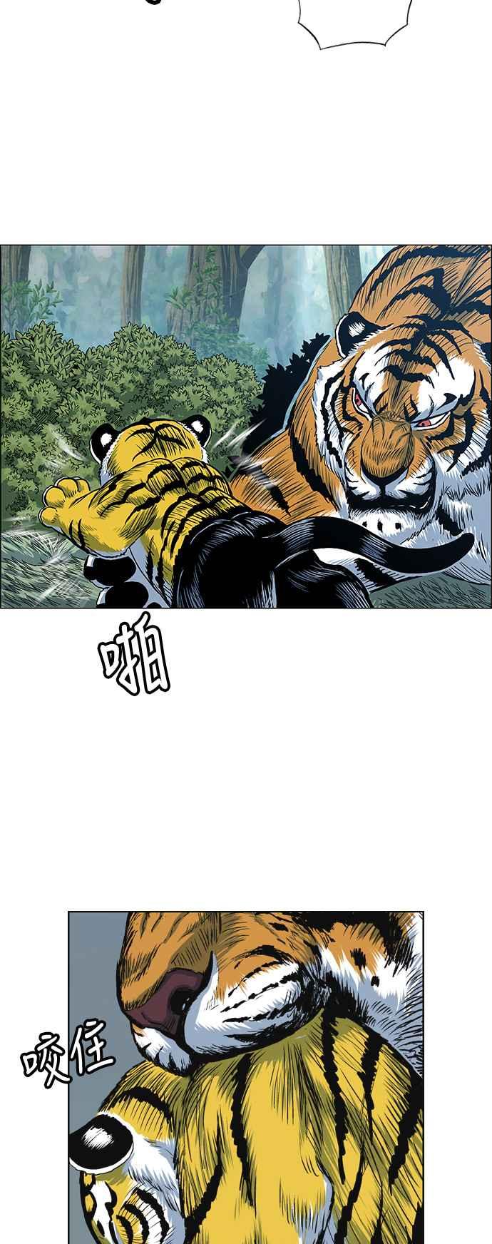 14.jpg