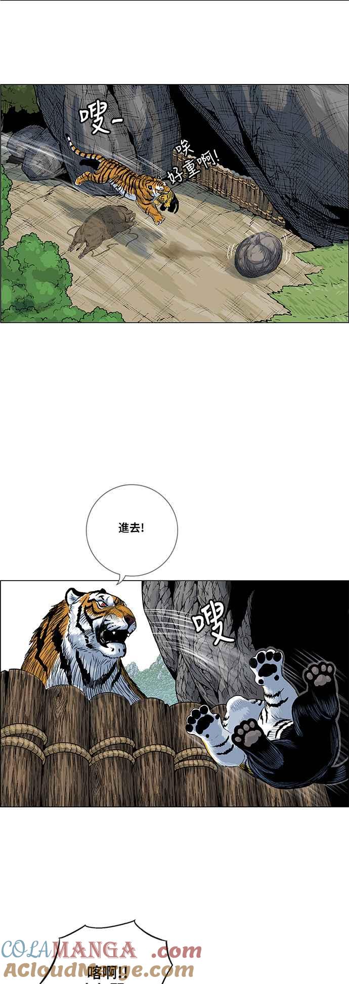 19.jpg