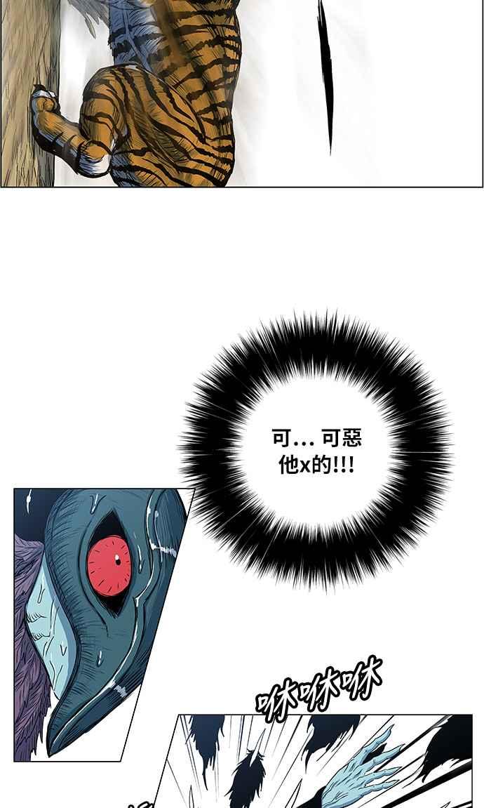 41.jpg