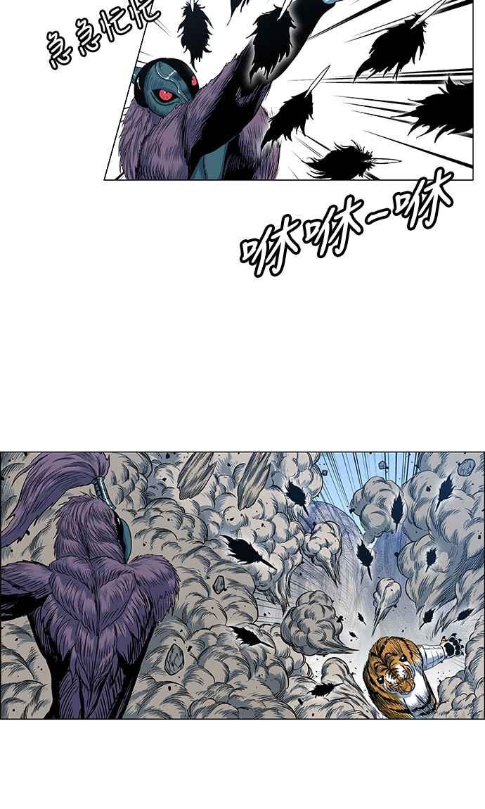 42.jpg