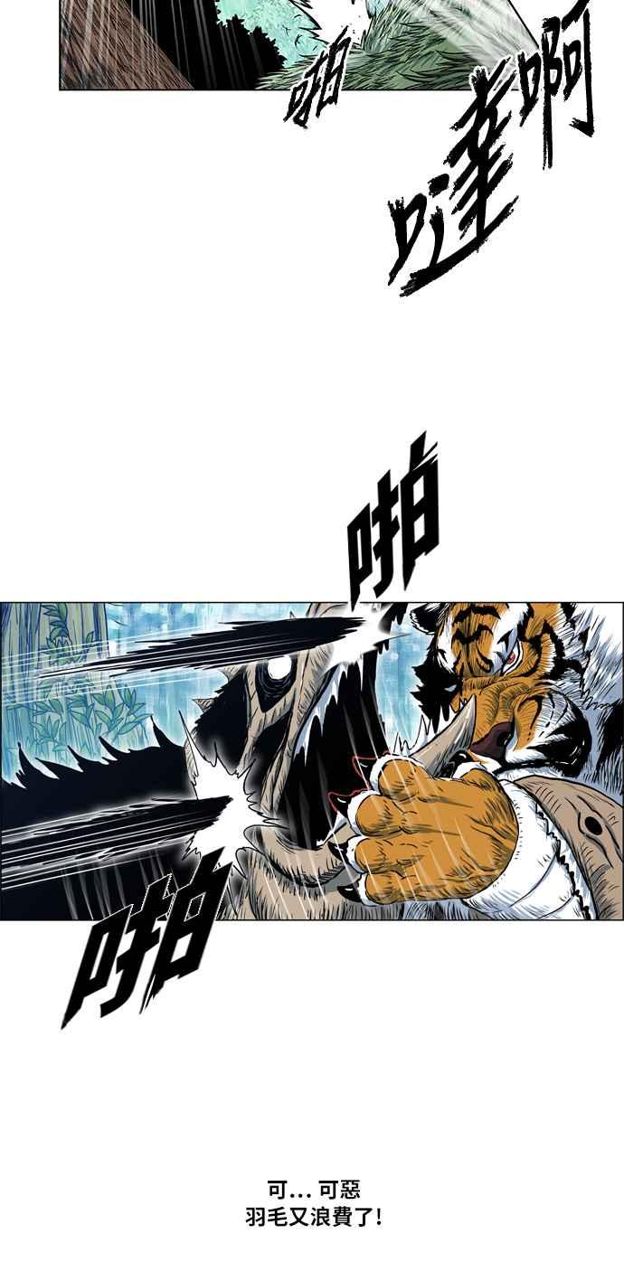 51.jpg