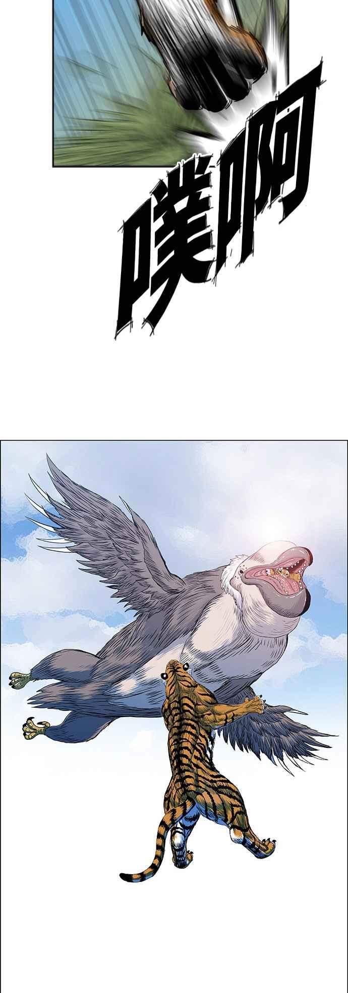 14.jpg