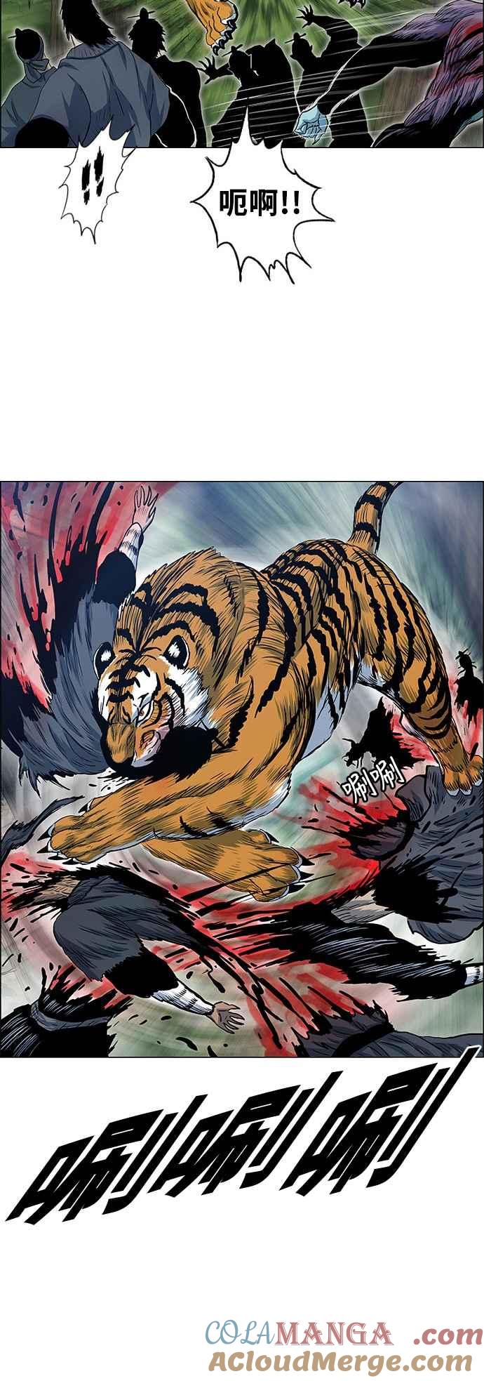 11.jpg
