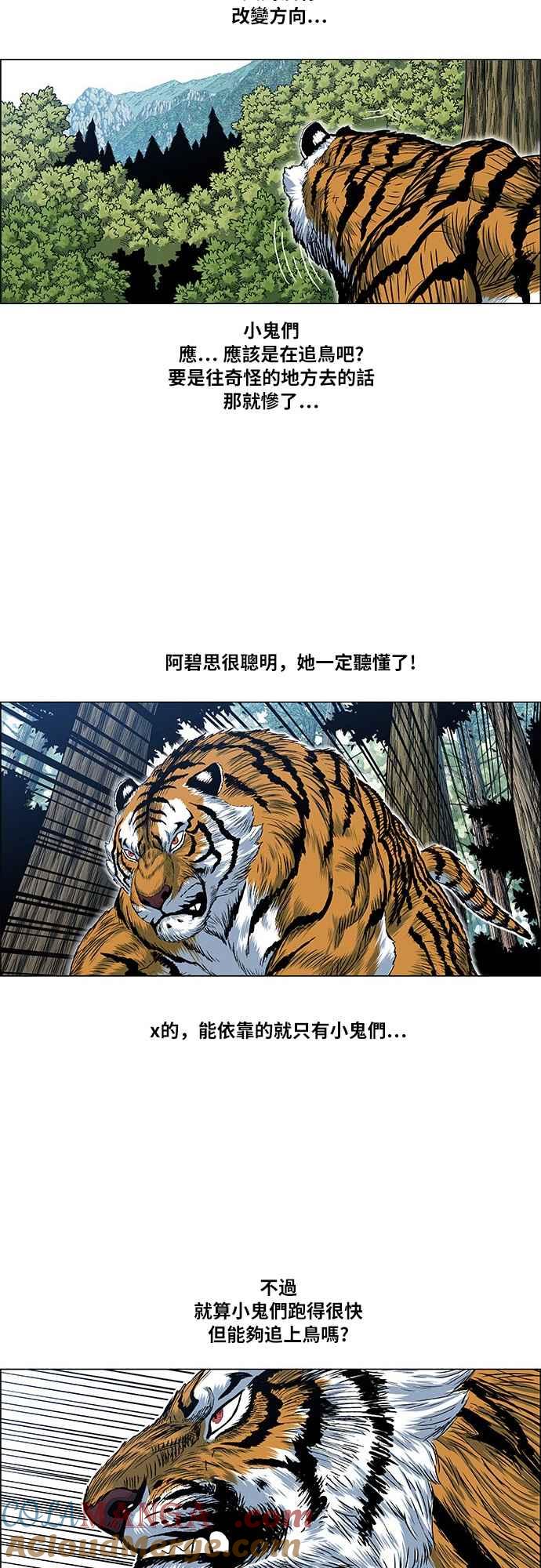 19.jpg