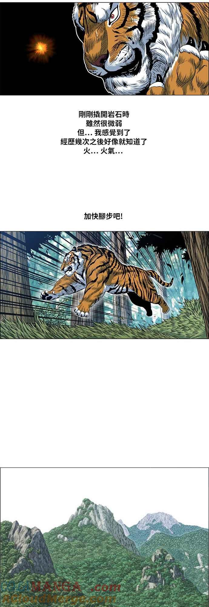 17.jpg