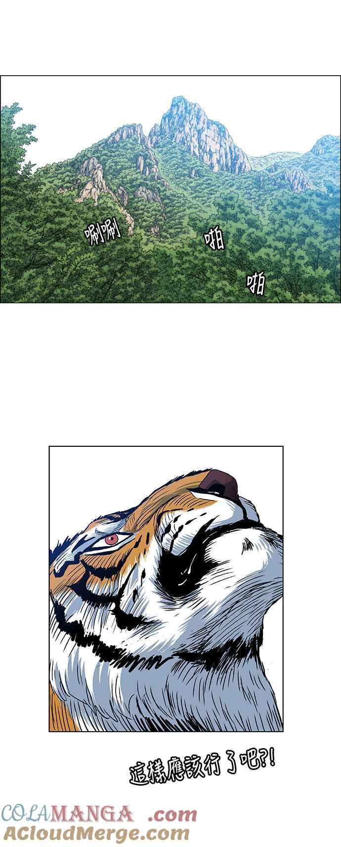 37.jpg