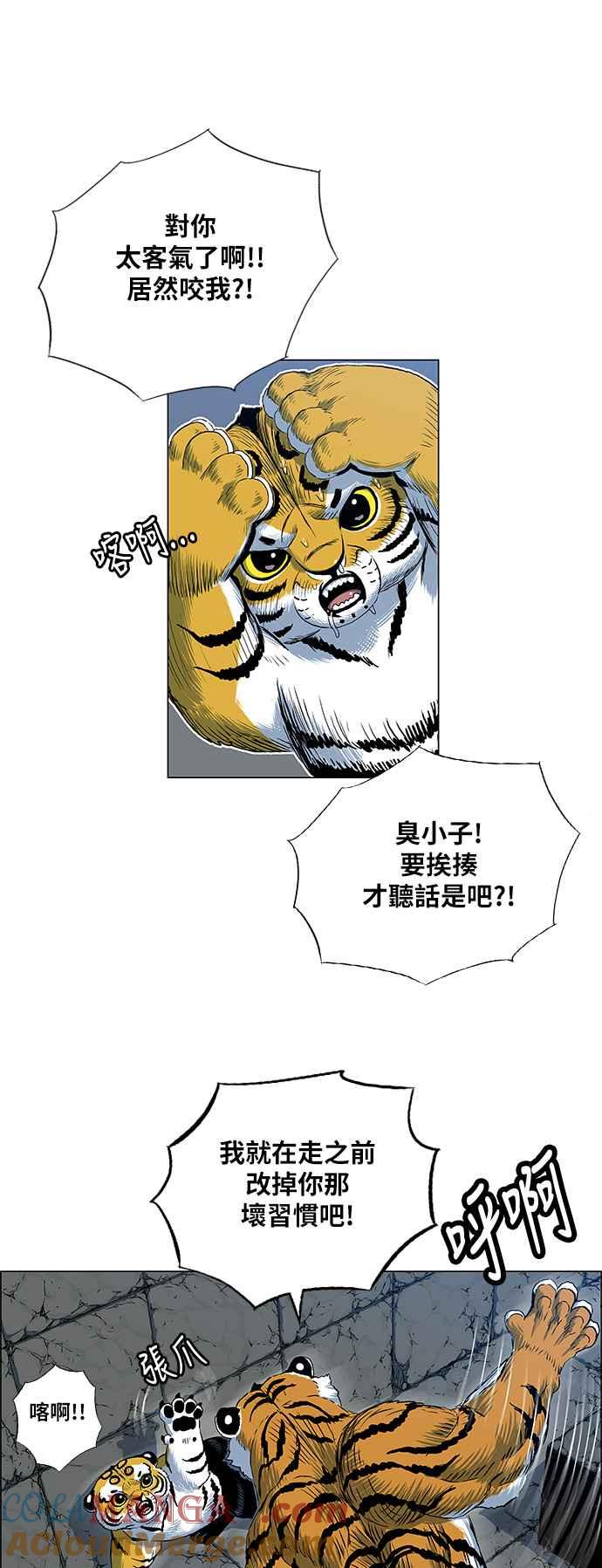 31.jpg