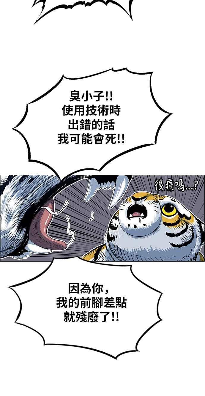 27.jpg