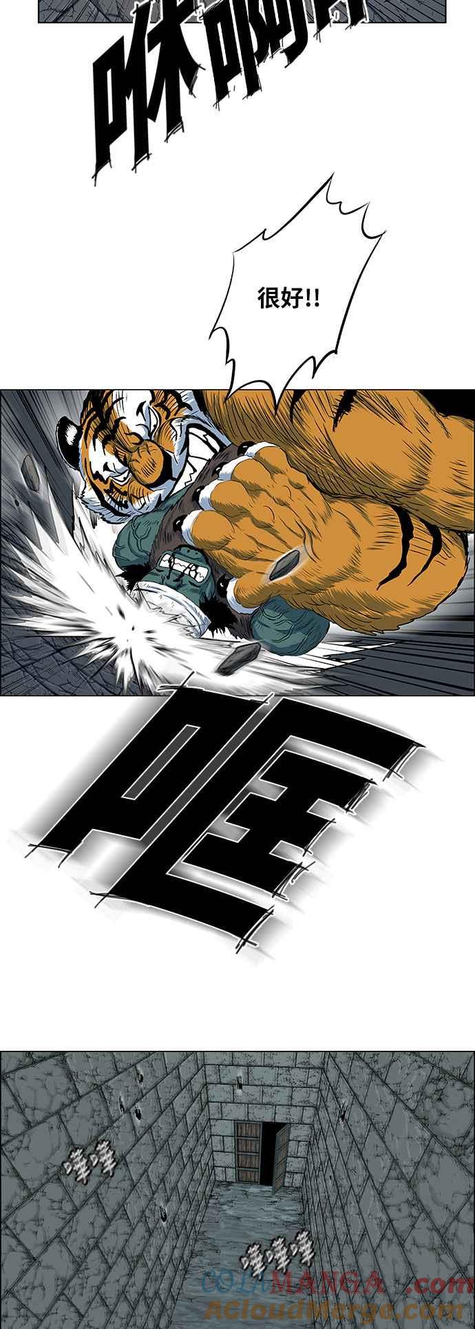 13.jpg