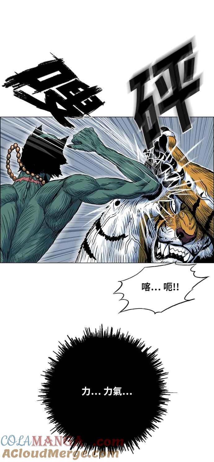 16.jpg