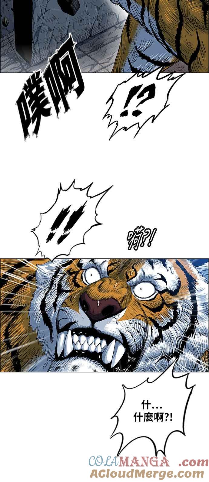 10.jpg