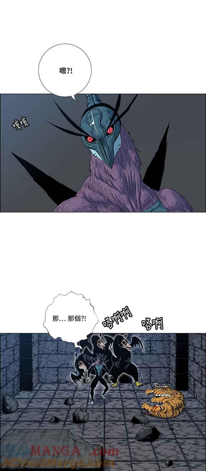 49.jpg