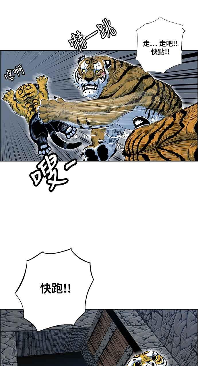 35.jpg