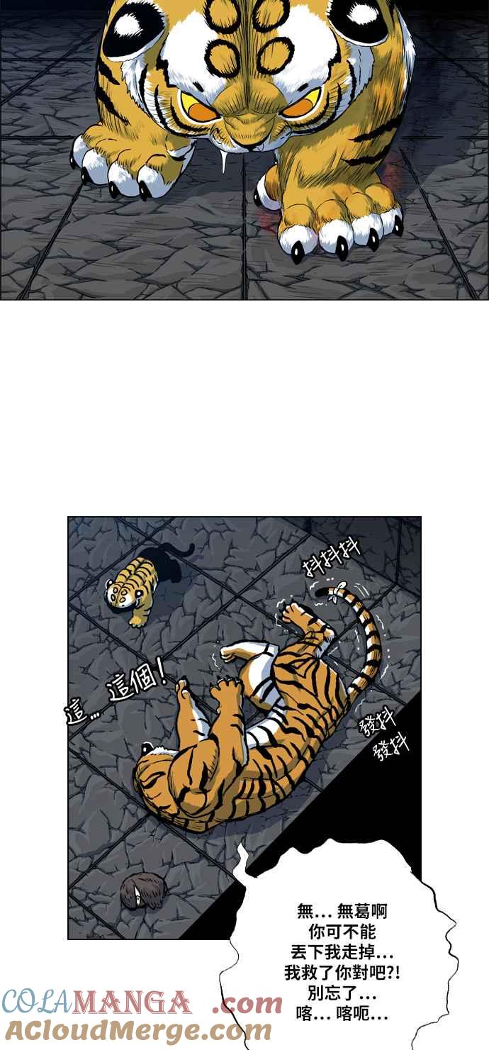 43.jpg
