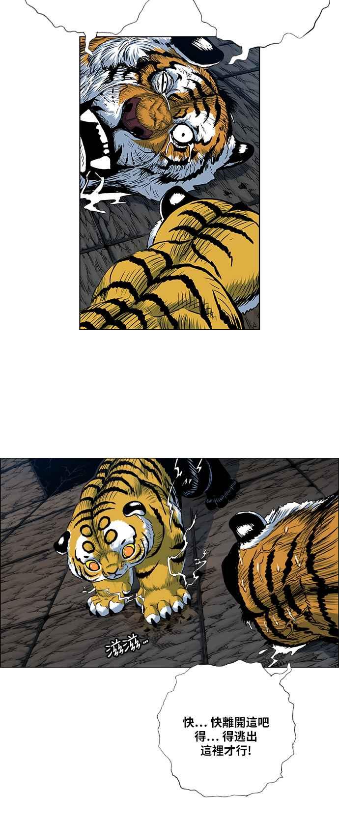 41.jpg
